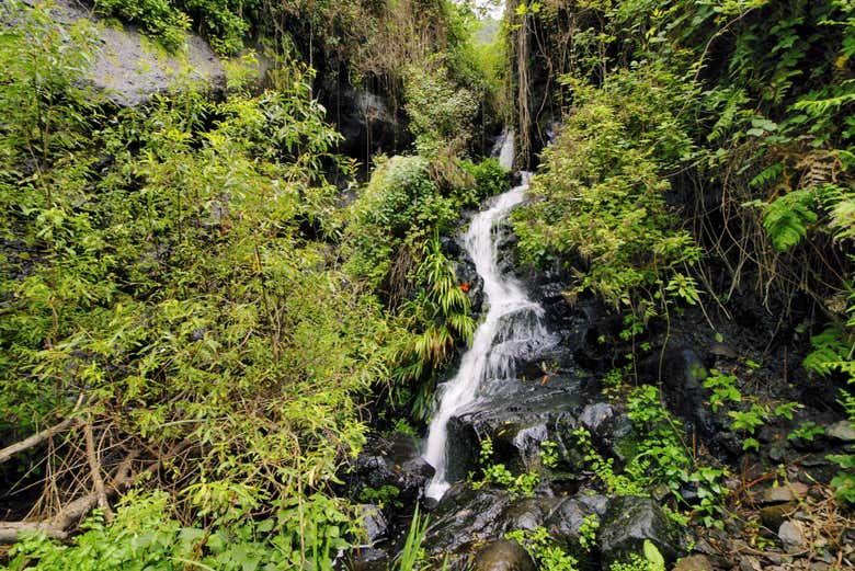 Queda d'água no Parque Nacional de Garajonay