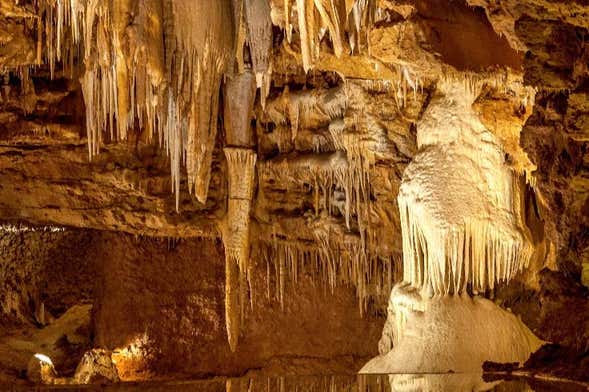 Visita guiada por la Cueva El Soplao