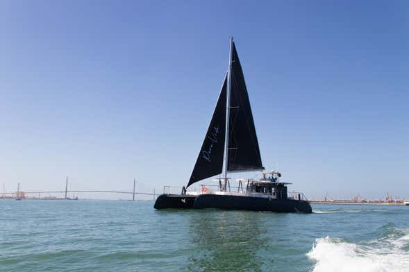 Giro in catamarano nella baia di Sancti Petri