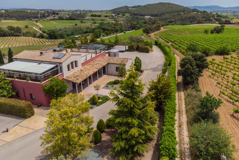 Vista aérea de la Bodega Mas Bertran