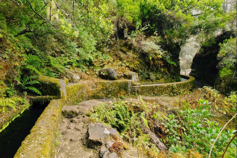 Walking along the canals of the Nacientes de Marcos y Cordero