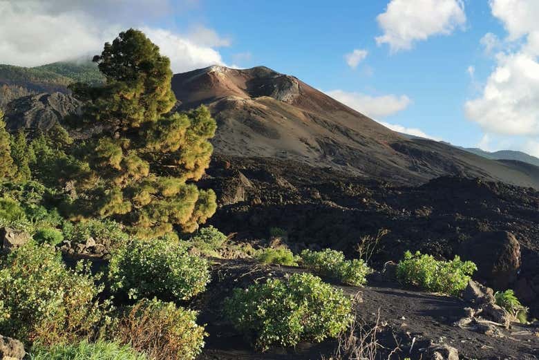 Tajogaite Volcano Guided Day Trip, Santa Cruz de La Palma