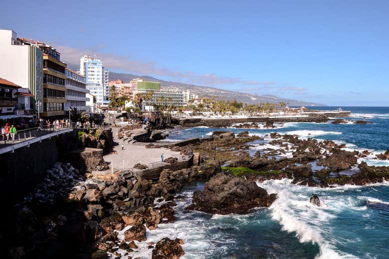 Wine Tasting, La Orotava & Puerto de la Cruz Tour, Santa Cruz de Tenerife