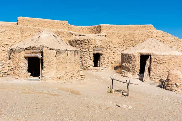 Visita guiada por el yacimiento arqueológico de Los Millares