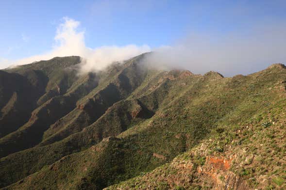 Teno Rural Park Hike