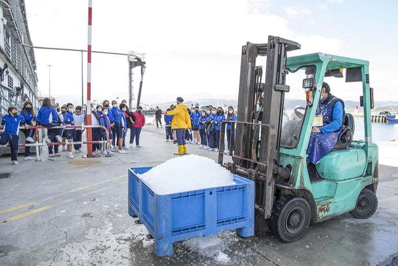 Learn all about the fishing port's operations