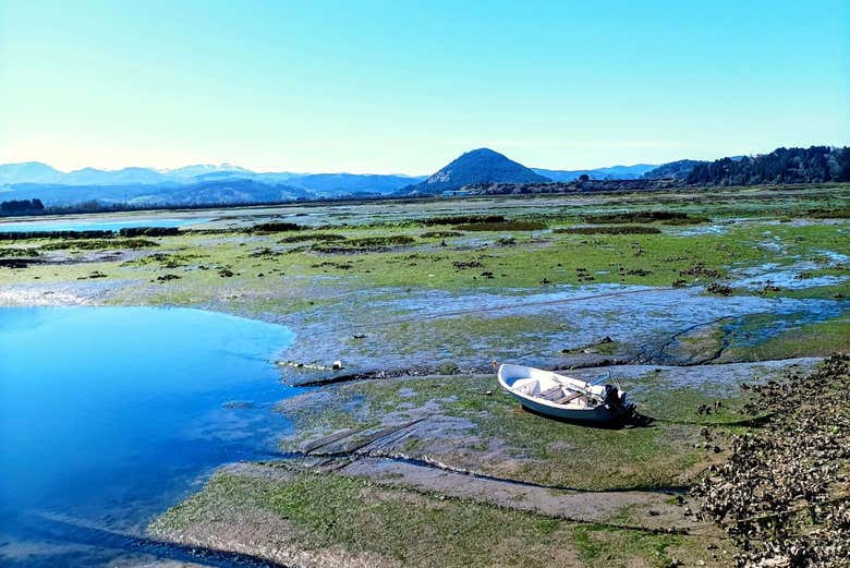 Explore the Santoña marshes