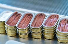 Visita a uma fábrica de anchovas com degustação