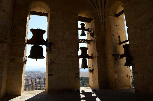 Tour por la Catedral y su Torre + Entrada al Palacio Episcopal