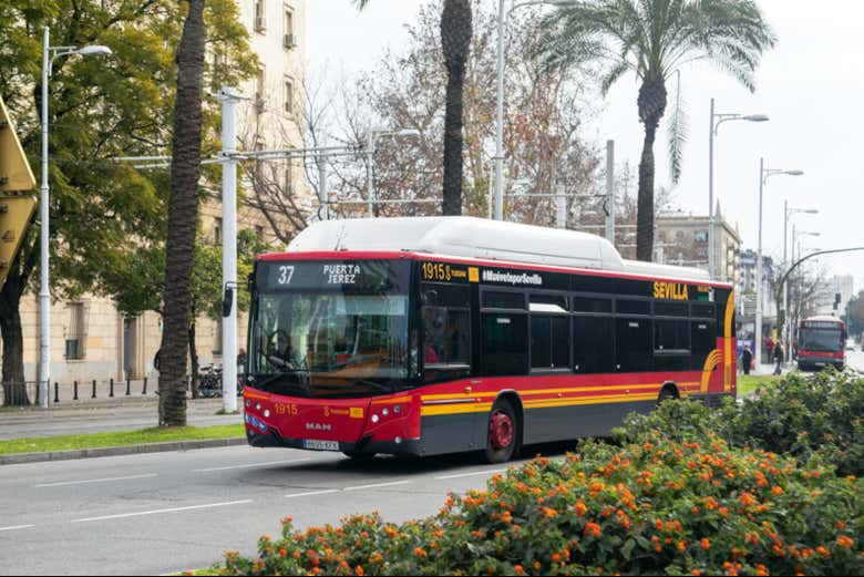 Recorriendo en autobús el centro de Sevilla