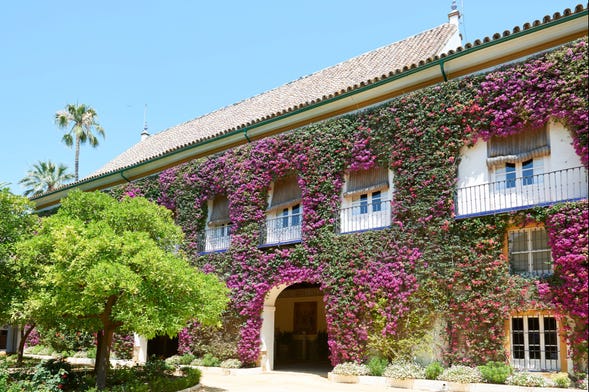 Visita guiada por el Palacio de las Dueñas