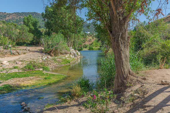 Tour de paddle surf pelo rio Guadiaro