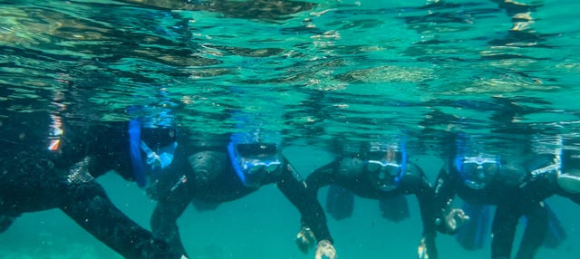 Snorkel en el Parque Natural del Estrecho