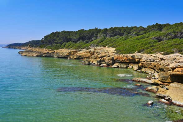 Tour en moto de agua por Cala Mora