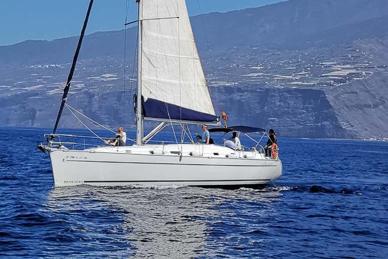 Enjoying the boat trip around La Palma