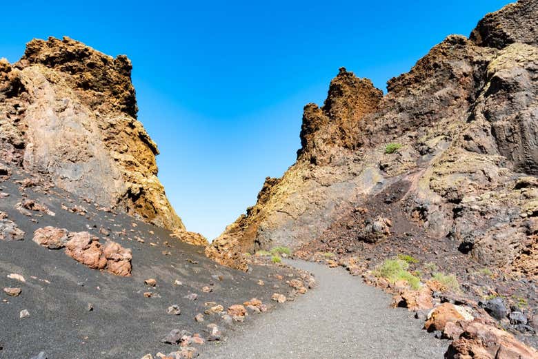 Empezando el trekking por el volcán del Cuervo