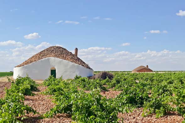 Tour del vino por Tomelloso