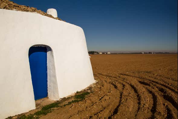 Visita guiada por Tomelloso