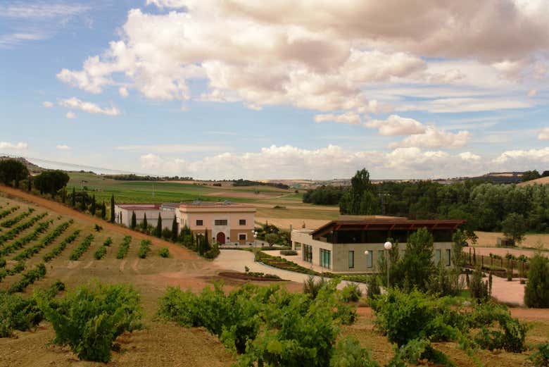 The landscape that surrounds the winery