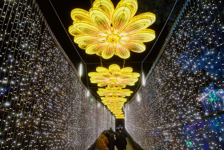 Celebrate Christmas in Torrejón de Ardoz