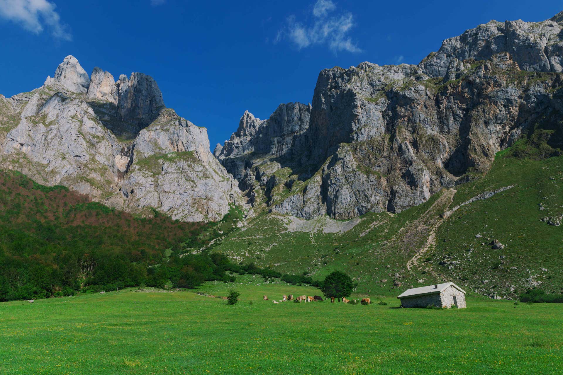 Picos de Europa Hike & Hermida Spa Experience from Torrelavega