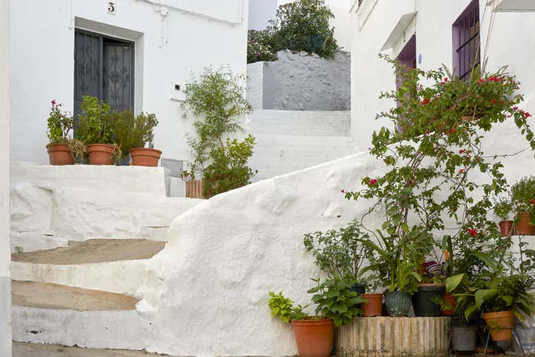 Typical white houses of Ubrique