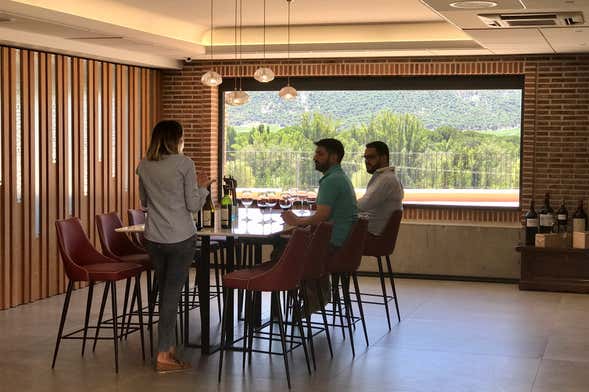 Cata de vino, queso y aceite en la Bodega Matarromera