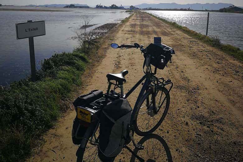 Tour En Bicicleta Por La Albufera Desde Valencia - Civitatis.com