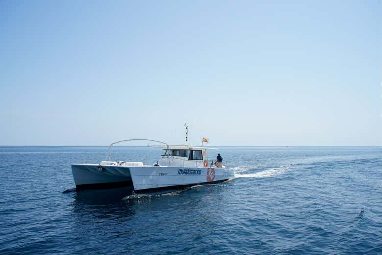 Sail along the coast of Valencia