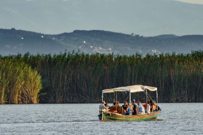 Tour Por Valencia Y La Albufera + Campos De Arroz - Civitatis.com