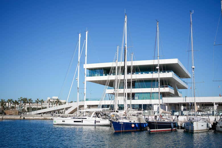 catamarano valencia