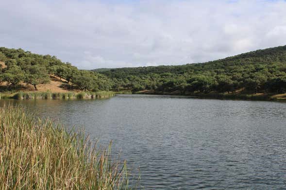 Trilha pela represa de Los Valles