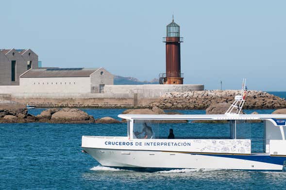 Paseo en barco por la ría de Vigo