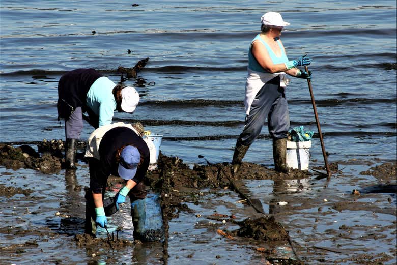 Conoceremos el trabajo de las mariscadoras