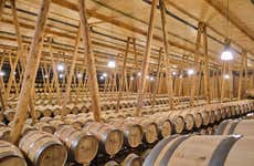 Visita a la bodega Bela