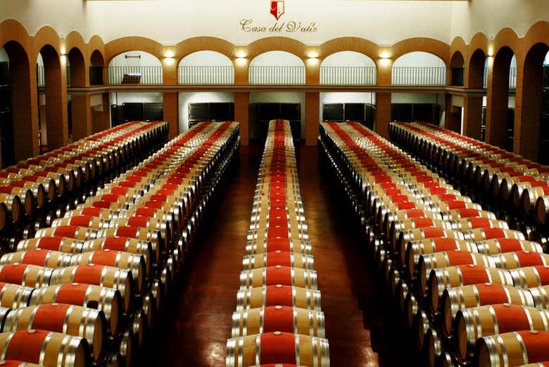 Sala de barricas de Bodegas y Viñedos Casa del Valle