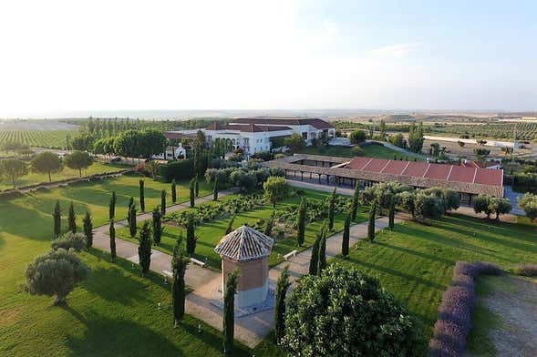 Visita a Bodegas y Viñedos Casa del Valle