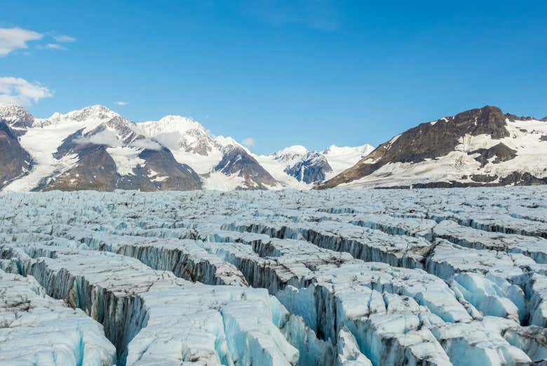 Chugach State Park Glacier Tour from Anchorage - Civitatis.com