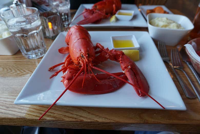 Sample the iconic Maine lobsters