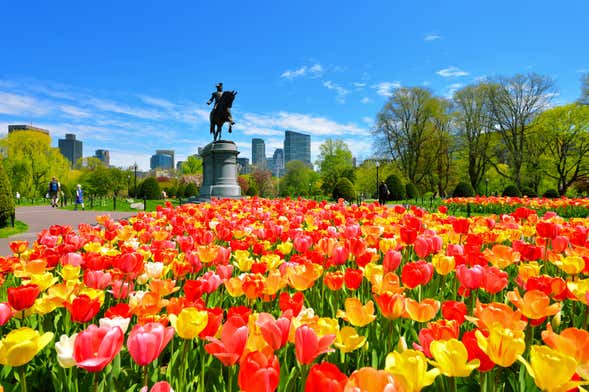 Visite guidée dans Boston