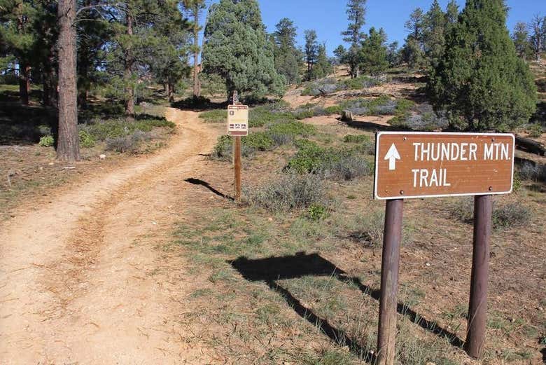 Senderos perfectos para las bicicletas en el Cañón Bryce