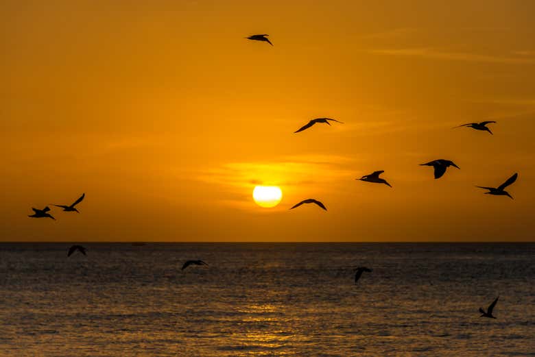 Sunset view in Key West