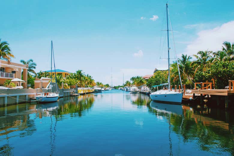 Pasaréis un día inolvidable en las aguas de Florida