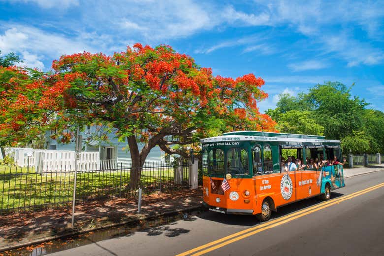 Trólebus em Key West