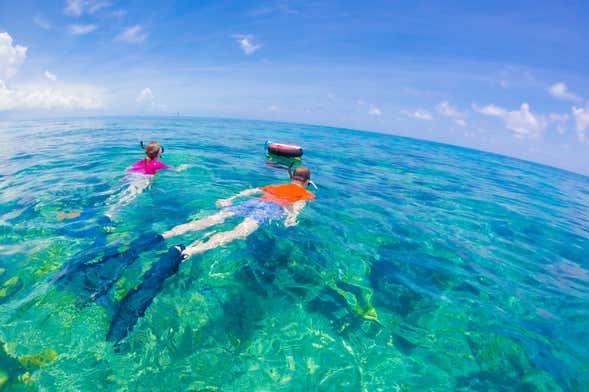 Kayaking, Paddleboarding & Snorkeling in Key West