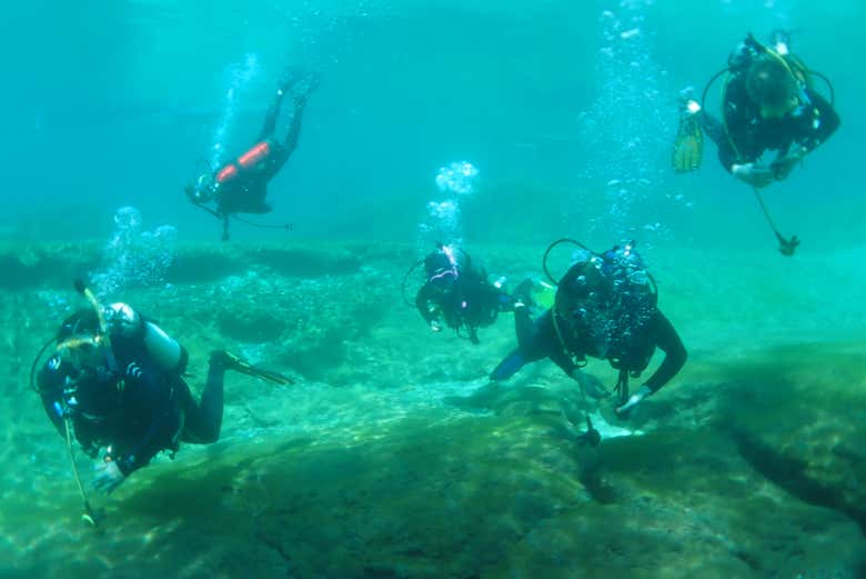 Scuba diving in Rainbow River