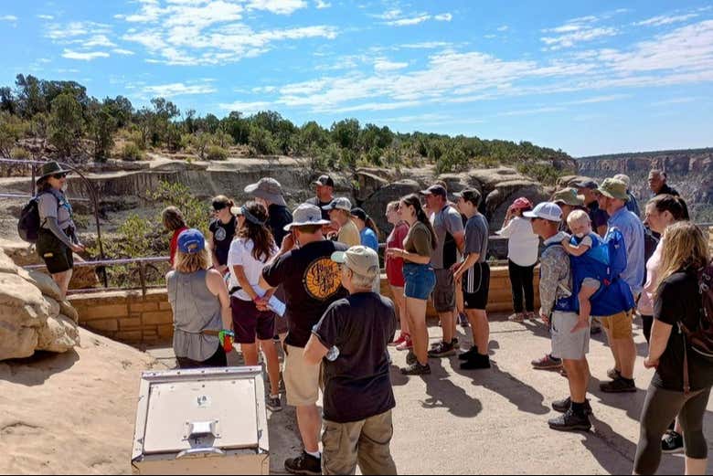 Visit Cliff Palace, the largest cliff dwelling in North America