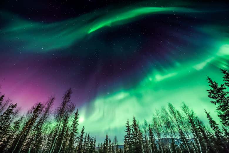 Northern Lights in Fairbanks