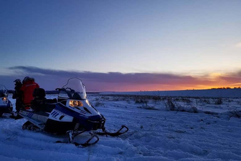 Fairbanks Snowmobile Tour - Book Online at Civitatis.com