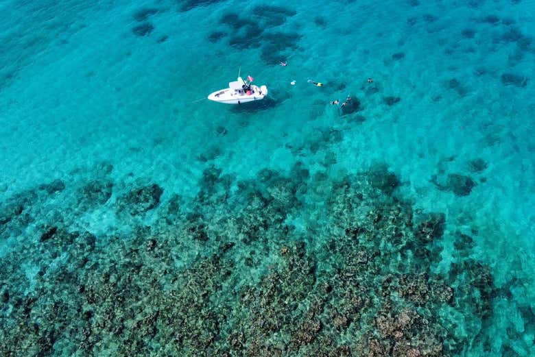 Get ready for this snorkelling adventure!